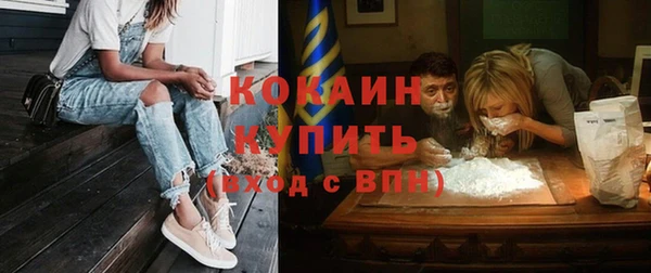 твердый Аркадак