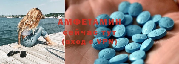 твердый Аркадак