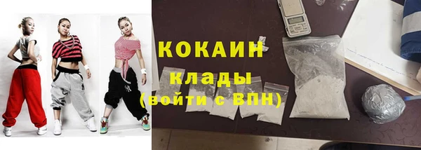 твердый Аркадак