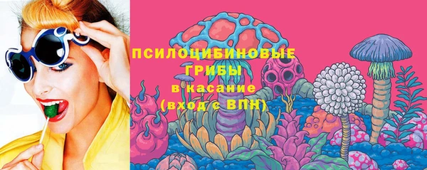 твердый Аркадак