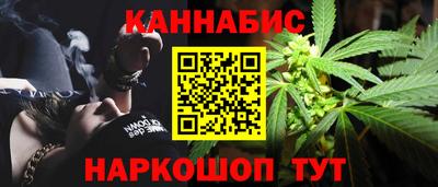 крисы Нальчик